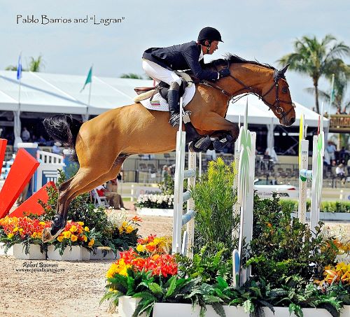 Showjumper at the WEF - Winter Equestrian Festival in Wellington, FL. Photo by Rob Bowman.