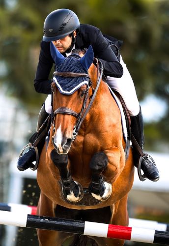 Jad Dana Opens Wellington International CSI3* Competition in IDA Development Power & Speed