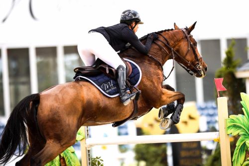 Marie Hecart and Vahinee Excel in $20k Palm Beach Equine Clinic Grand Prix Victory