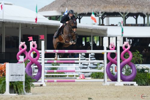 Simon McCarthy Sets Sail in ArthramidVet CSI3* Grand Prix Qualifier at Wellington