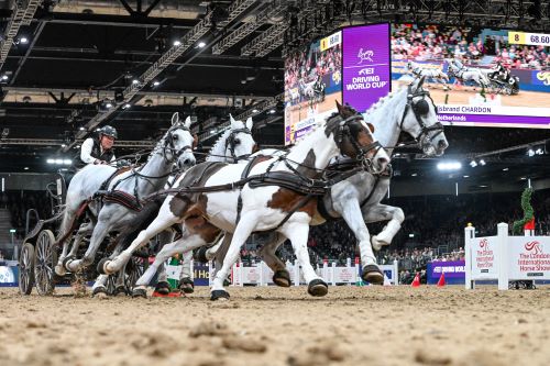 An Incredible Day at London International Horse Show