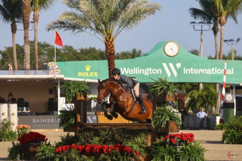 Patricia Griffith and Divine Romance Win Big during WCHR Week at WEF