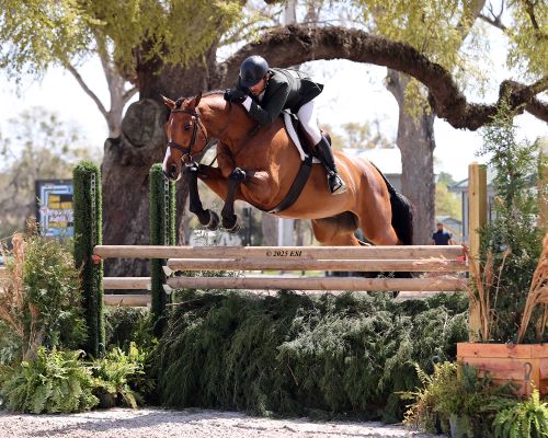 Brian Feigus and Four Aces Play Winning Hand in the $40k USHJA International Hunter Derby