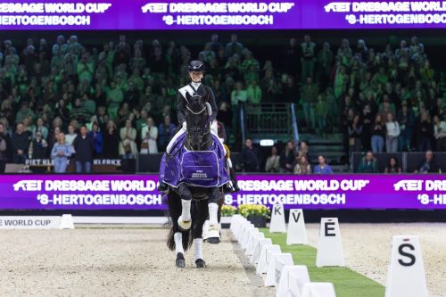 Fry Sparks Magic with Glamourdale in ‘s-Hertogenbosch