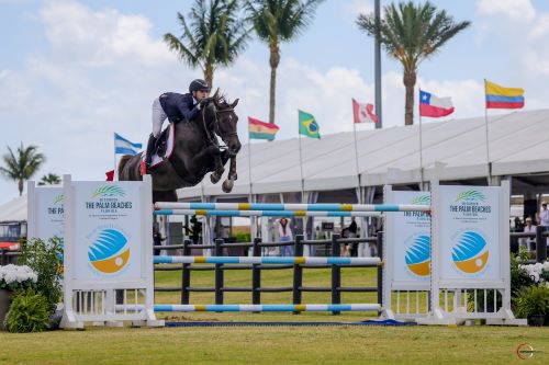 Luis Fernando Larrazabal Wins Palm Beach County Sports Commission CSI3* Grand Prix