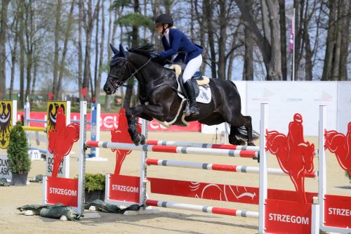 Showjumping Thrills and Cross-Country Challenges at Strzegom Spring Open