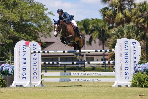 Ben Maher Ends His Wellington Season on Winning Form in Bainbridge Companies CSI3* Grand Prix