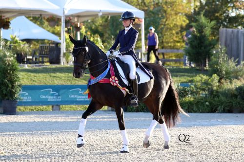 HITS Hudson Valley Hosts the 2025 GAIG/USDF Region 8 Championships & HITS Open