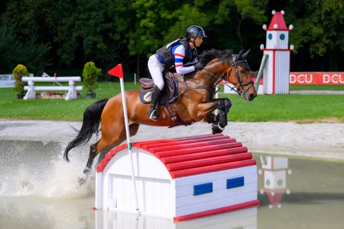 Strzegom Autumn Show – International Competition in Strzegom Concludes