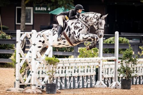 Theresa Tolar Dominates $5,000 USHJA National Hunter Derby with a Clean Sweep