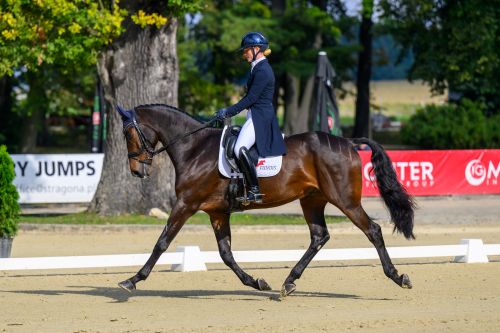 Strzegom October Festival: First Day of Competition Complete