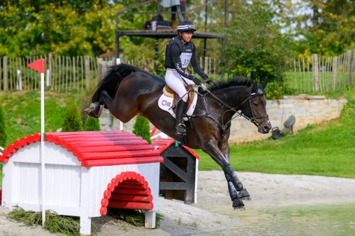 Strzegom October Festival: Thrilling Cross-Country and Show Jumping Action