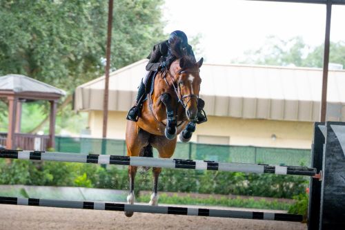 Wilton Porter and Lupina Colada Double Up with Consecutive Grand Prix Triumphs