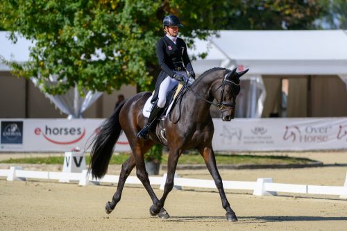 Strzegom October Festival: Dressage Phase Completed