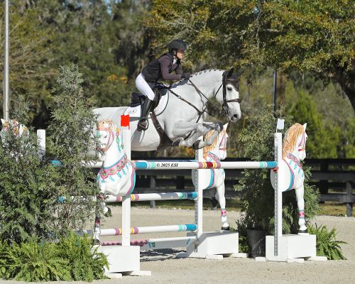 Morgane Qualls and Favorite D’Armanville Fly to First in $24,500 John Deere Grand Prix at HITS Ocala