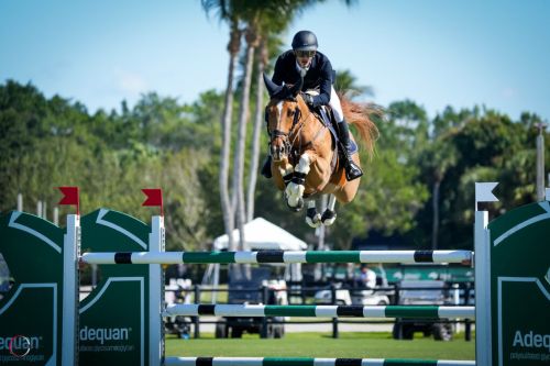 Mark Bluman and Landon Off and Winning at WEF
