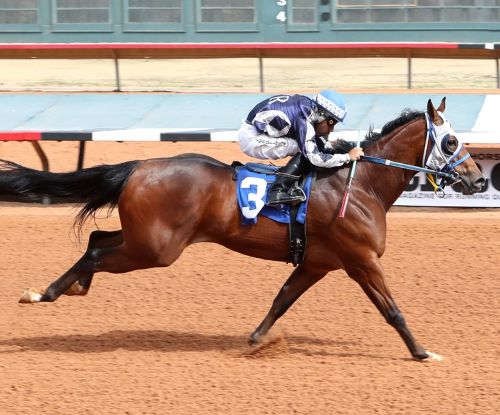 FDD Dreams Is the 2025 World Champion Racing American Quarter Horse