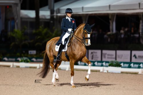Susan Pape Aces Plus-81% 3 Graces Dressage CDI5* Grand Prix Freestyle Win on ‘Incredible’ Mare