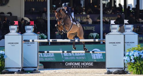 Laura Chapot and Ginola Gain Speed in $32k Chrome Horse Tequila CSI2* Qualifier