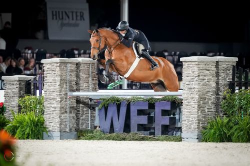 Victoria Colvin Claims $150k WCHR Peter Wetherill Palm Beach Hunter Spectacular