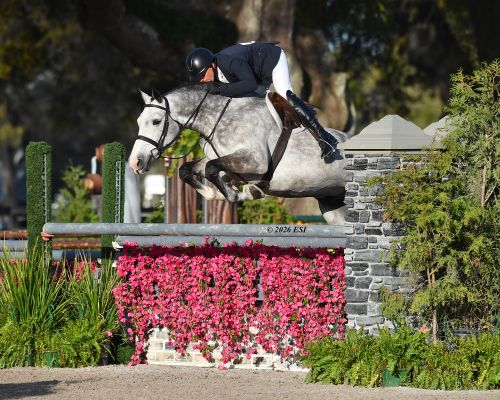 Timothy Maddrix and Olimpink Melloni Claim Victory in $25k USHJA International Hunter Derby