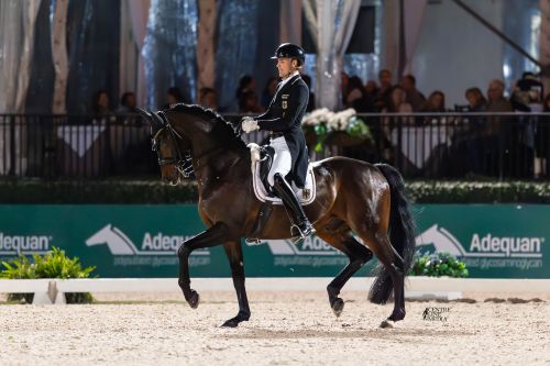 Frederic Wandres Is Golden in AGDF 11 Nations Cup Freestyle