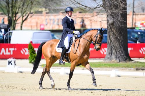 Nearly 320 Combinations from 25 Nations at the Start – Strzegom Spring Open II Begins