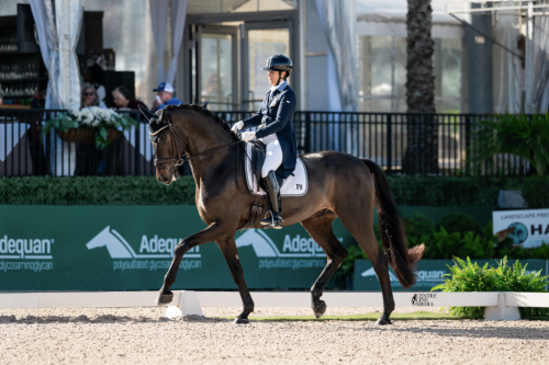 Vilhelmson Silfvén Is Lövsta Future Challenge Final Champion