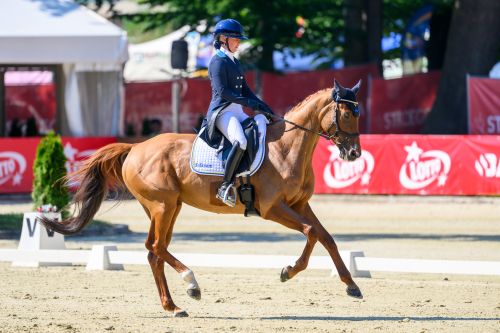 Day One of LOTTO Strzegom Horse Trials