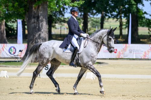 Olympic Champion Leads after Dressage as Strzegom Summer Tour Reveals International Leaders