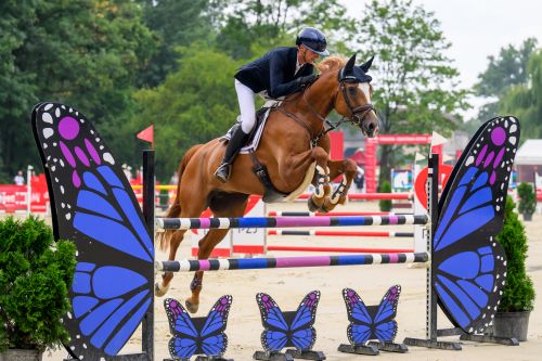 Show Jumping Reshuffles the Leaderboard at Strzegom Summer Tour