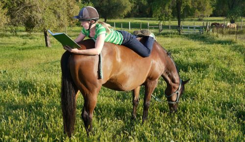 EQUUS Foundation to Award $65k in Scholarships to Support Future of Equine Industry