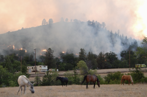 Southern California Burns Again: The 2018 Warning Agencies Ignored