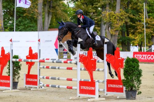 Strzegom October Festival 2026 – A Grand Finale to the Eventing Season