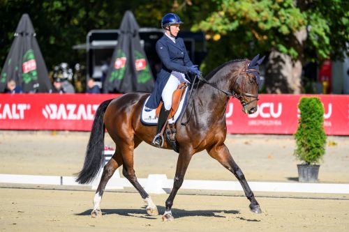 Strzegom October Festival 2026 – Close Competition after Dressage