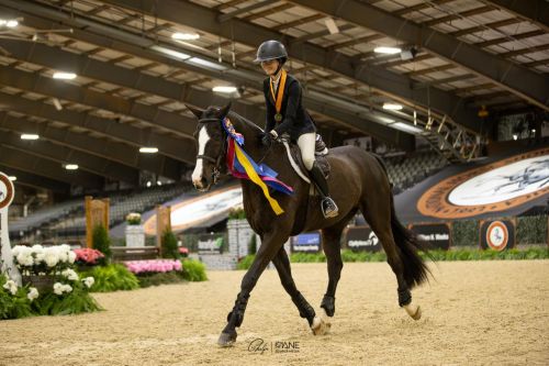 Opening Day of the 143rd National Horse Show